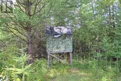 PCL 13496 BLUE RD 2 | Rainy River Ontario | Slide Image Thirty-two