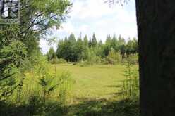 PCL 13496 BLUE RD 2 | Rainy River Ontario | Slide Image Thirty-three