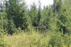 PCL 13496 BLUE RD 2 | Rainy River Ontario | Slide Image Thirty-six