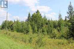 PCL 13496 BLUE RD 2 | Rainy River Ontario | Slide Image Thirty-seven