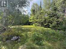 LT 7 FIRE # 126 CRYSTAL LAKE ROAD | Rainy River Ontario | Slide Image Seventeen