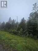 5937 HIGHWAY 11/17 | Thunder Bay Ontario | Slide Image Two