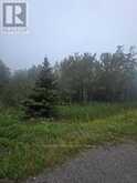 5937 HIGHWAY 11/17 | Thunder Bay Ontario | Slide Image Three