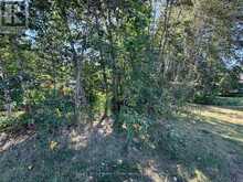 LOT 3 M297 PINE PORTAGE ROAD | Kenora Ontario | Slide Image Ten