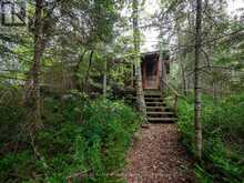 JO153 SHOAL LAKE ISLAND | Kenora Ontario | Slide Image Ten