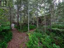 JO153 SHOAL LAKE ISLAND | Kenora Ontario | Slide Image Eleven