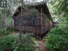 JO153 SHOAL LAKE ISLAND | Kenora Ontario | Slide Image Twelve
