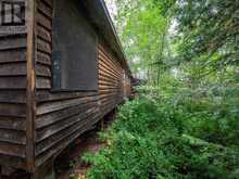 JO153 SHOAL LAKE ISLAND | Kenora Ontario | Slide Image Thirteen