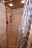 520 DUBLIN AVENUE | Thunder Bay Ontario | Slide Image Forty-six
