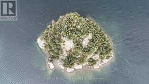 ISLAND EB2114 LINKLATER LAKE ISLAND | Kenora Ontario | Slide Image Fifteen