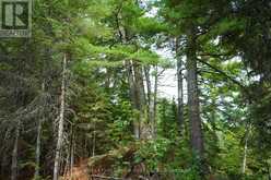 0 DUBOIS ROAD | Sioux Narrows-Nestor Falls Ontario | Slide Image Eleven