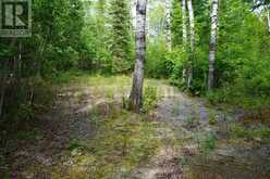 0 DUBOIS ROAD | Sioux Narrows-Nestor Falls Ontario | Slide Image Twenty-two