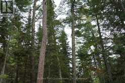 0 DUBOIS ROAD | Sioux Narrows-Nestor Falls Ontario | Slide Image Twenty-three