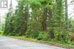 0 DUBOIS ROAD | Sioux Narrows-Nestor Falls Ontario | Slide Image Twenty-six