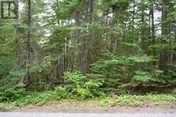 0 DUBOIS ROAD | Sioux Narrows-Nestor Falls Ontario | Slide Image Twenty-seven
