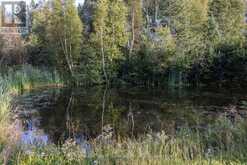 401 BARRIE DRIVE | Thunder Bay Ontario | Slide Image Nine
