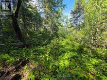 LOT 18 REGINA HEIGHTS BOULEVARD | Sioux Narrows-Nestor Falls Ontario | Slide Image Ten