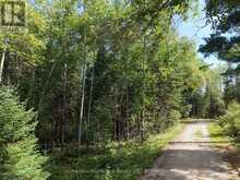 LOT 18 REGINA HEIGHTS BOULEVARD | Sioux Narrows-Nestor Falls Ontario | Slide Image Seven