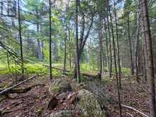 LOT 17 REGINA HEIGHTS BOULEVARD | Sioux Narrows-Nestor Falls Ontario | Slide Image Ten