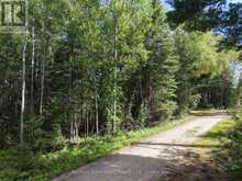 LOT 17 REGINA HEIGHTS BOULEVARD | Sioux Narrows-Nestor Falls Ontario | Slide Image Five