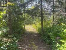 1 ANDREW BAY | Sioux Narrows-Nestor Falls Ontario | Slide Image Twenty-nine