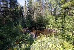 131 PURSIAINEN LOOP | Thunder Bay Ontario | Slide Image Thirty-eight