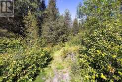 131 PURSIAINEN LOOP | Thunder Bay Ontario | Slide Image Forty-one