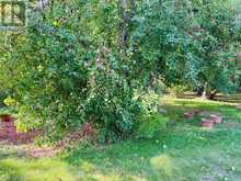 7567 PCL 611 HIGHWAY N | Alberton Ontario | Slide Image Twenty-three