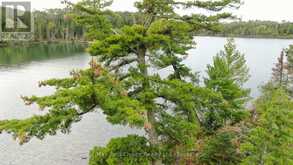 2546 WHITEFISH BAY 37 | Sioux Narrows-Nestor Falls Ontario | Slide Image Thirty-eight