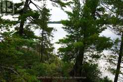 2546 WHITEFISH BAY 37 | Sioux Narrows-Nestor Falls Ontario | Slide Image Forty-four