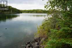 2546 WHITEFISH BAY 37 | Sioux Narrows-Nestor Falls Ontario | Slide Image Forty-five