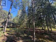 LOT 12 CON 4 HWY 596 HIGHWAY | Kenora Ontario | Slide Image Thirteen