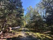 LOT 12 CON 4 HWY 596 HIGHWAY | Kenora Ontario | Slide Image Fifteen