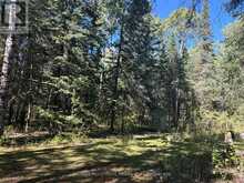 LOT 12 CON 4 HWY 596 HIGHWAY | Kenora Ontario | Slide Image Sixteen