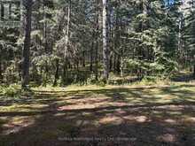 LOT 12 CON 4 HWY 596 HIGHWAY | Kenora Ontario | Slide Image Seventeen