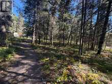 LOT 12 CON 4 HWY 596 HIGHWAY | Kenora Ontario | Slide Image Twenty-one