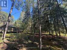 LOT 12 CON 4 HWY 596 HIGHWAY | Kenora Ontario | Slide Image Five