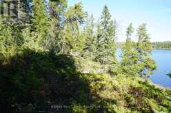 145 LITTLE SAND LAKE | Kenora Ontario | Slide Image Twenty-five