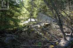 145 LITTLE SAND LAKE | Kenora Ontario | Slide Image Thirty-one