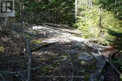 145 LITTLE SAND LAKE | Kenora Ontario | Slide Image Thirty-three