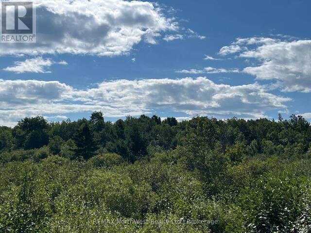 PIN 560110010 PEARSON ROAD Fort Frances Ontario, P9A 3M3 - Vacant Land For Sale