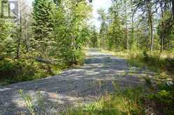 LOT 2 GUNN LAKE ROAD | Kenora Ontario | Slide Image Thirty-six