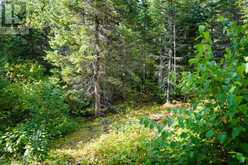 LOT 2 GUNN LAKE ROAD | Kenora Ontario | Slide Image Thirty-nine
