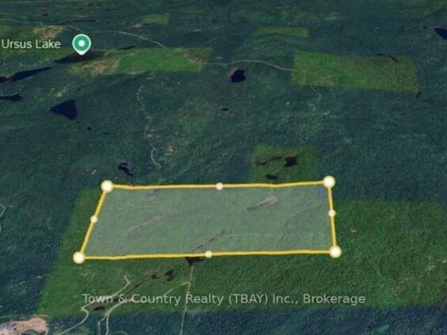 SEC 10 CON 1 MACGREGOR Thunder Bay Ontario, P7A 0V7 - Vacant Land For Sale