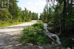 LOT 4 GUNN LAKE ROAD | Kenora Ontario | Slide Image Sixteen