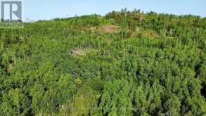 6071 HWY 61 HIGHWAY | Thunder Bay Ontario | Slide Image Thirty-three