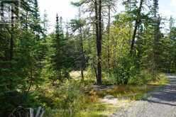 LOT 5 GUNN LAKE ROAD | Kenora Ontario | Slide Image Twenty-two