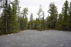 LOT 5 GUNN LAKE ROAD | Kenora Ontario | Slide Image Twenty-seven