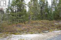 LOT 5 GUNN LAKE ROAD | Kenora Ontario | Slide Image Thirty-two