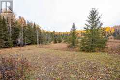 577 ELLIS ROAD | Thunder Bay Ontario | Slide Image Thirty-two